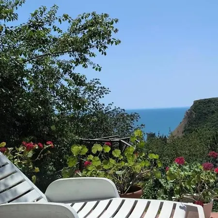 Daire Sea View Lagom - Explore North Black Sea Coastline *